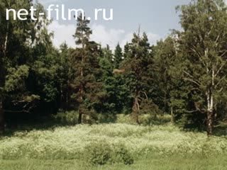 Фильм Мир спокойствия, свободы.. (1991)