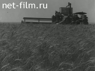 Footage Harvest at the farm "Giant". (1929)
