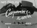 Newsreel On the wide Volga 1986 № 15