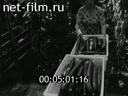 Newsreel On the wide Volga 1988 № 19 Each vegetable - your time