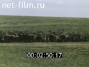 Фильм Ямал - край земли. (1967)