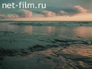 Фильм Сквозь безмолвие (Очарованный Арктикой). (1987)