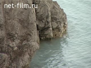Footage Lake Balkhash. (1960 - 2004)