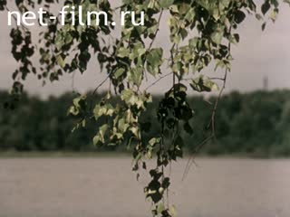 Film Polesye - the Woodlands. Everyday Life of One Region.. (1987)