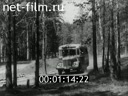 Film It happened on forest roads. (1970)