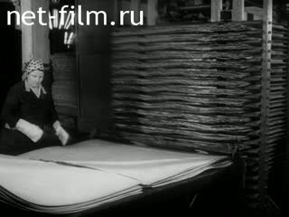 Фильм Холодная подпрессовка фанеры. (1983)