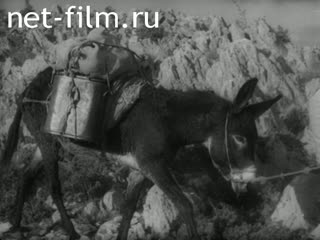 Киножурнал Дойче Вохеншау 1944 № 703-2 Рабочий материал