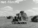 Фильм Мясное скотоводство Сибири. (1974)
