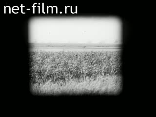 Киножурнал Дойче Вохеншау 1943 № 679-2 Рабочий материал