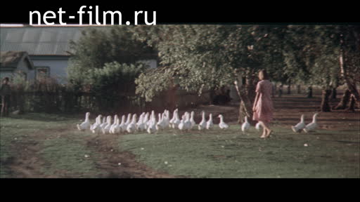 Фильм Сибирский счет. (1983)