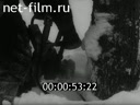 Фильм Работая в лесу. (1981)