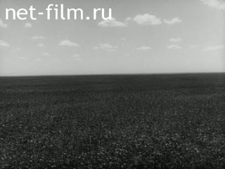 Фильм Первая весна.. (1954)