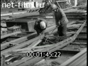 Фильм Прогрессивные конструкции для лесных строек. (1980)