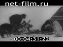 Фильм Георгий Седов. (1962)