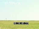 Footage Training flights student MAI. (2005)