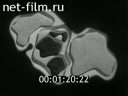 Newsreel Construction and architecture 1972 № 11