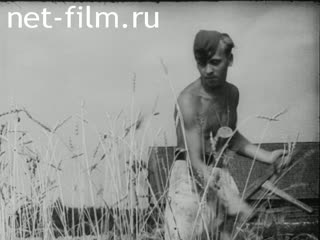 Киножурнал Тонвохе 1942 № 574
