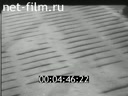 Киножурнал Тонвохе 1942 № 545