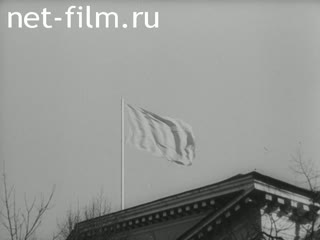 Киножурнал Ленинградская кинохроника 1967 № 28