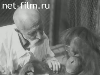 Сюжеты В обезьяннике Московского зоопарка. (1930 - 1933)
