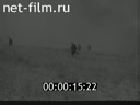 Footage Newsreel of the great Patriotic war. (1942 - 1944)