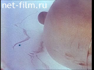 Film Explore The Arctic. (The Arctic past and present). (1989)