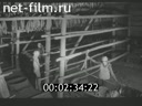 Новости Зарубежные киносюжеты 1976 № 4841
