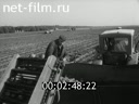 Киножурнал Ленинградская кинохроника 1971 № 28