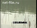 Сюжеты Рыбалка на реке. (2002)