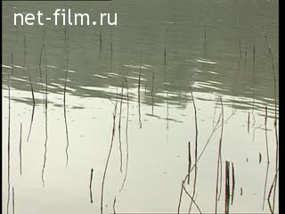 Сюжеты Рыбалка на реке. (2002)