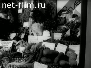 Киножурнал Ленинградская кинохроника 1981 № 36