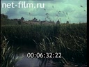 Фильм Суздаль. (1982)