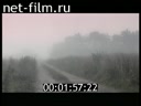 Фильм Набережная неисцелимых. (2011)