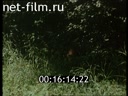 Фильм Делай, как мы. (1996)