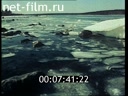 Film White Sea is not a white spot.. (1987)