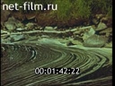 Film Karelia.
Fantasy - impromptu. (1989)