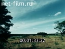 Film Bell Sukhona. (1991)