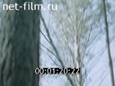 Film Inter-farm co-operation in forestry. (1983)