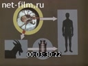 Фильм Внимание, клещевой энцефалит!. (1971)