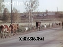 Film Attention, encephalitis!. (1971)