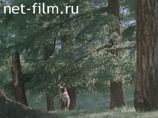Film TIMBER INDUSTRY OF KRASNOYARSK TERRITORY. (1986)