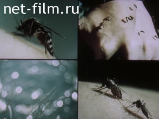 Фильм Защита от кровососущих насекомых и клещей. (1985)