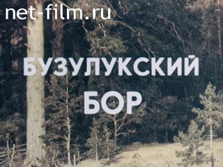 Film Buzuluksky Bor.. (1988)