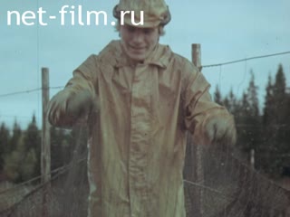 Фильм У Беломорья. (1978)
