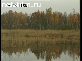 Сюжеты Кемерский заповедник в Латвии. (1995 - 1997)