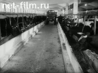Фильм Производство травяной муки.. (1984)