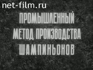 Фильм Промышленный метод производства шампионьонов.. (1982)