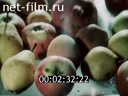 Film Soyuzkoopvneshtorg.. (1990)