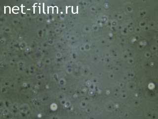 Film Diffusion and its application.. (1984)