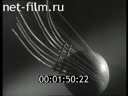 Фильм Рассказ о музыкальных инструментах. (1965)